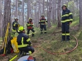 IMG-20240414-WA0069