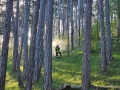 IMG-20240414-WA0081