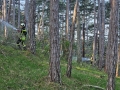 IMG-20240414-WA0086