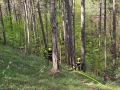 IMG-20240414-WA0087