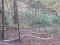 IMG-20240414-WA0089
