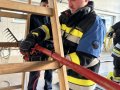 IMG_7933