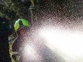 IMG_8143