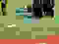 457661184_926276942859189_2841939557346040144_n