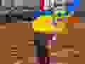 457821129_926277159525834_7866735112983146283_n