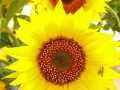 WhatsApp-Bild-2025-07-19-um-11.25.29_9c10628b
