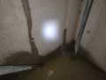 WhatsApp-Bild-2024-09-14-um-00.02.32_d6eda56d
