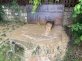 WhatsApp-Bild-2025-07-21-um-21.36.48_e705c175