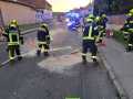 WhatsApp-Bild-2024-05-14-um-21.07.27_c9153f48