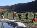 IMG_4920