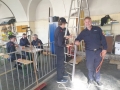 Wissenstest6